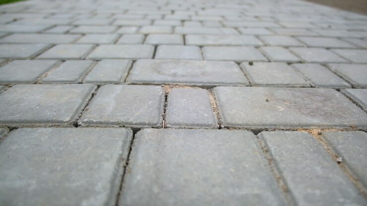 Grey Paver Pathway