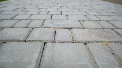 grey paver pathway