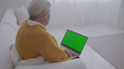 una mujer mayor mira un monitor con una pantalla verde y habla a través de un enlace de video con su nieta o hija o un médico. ayuda de video para los ancianos. la abuela usa una computadora portátil