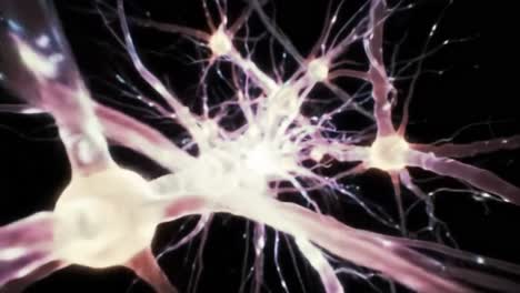 intricate visualization of neurons with electric pulses and synaptic connections revealing the complex network of the nervous system in stunning detail
