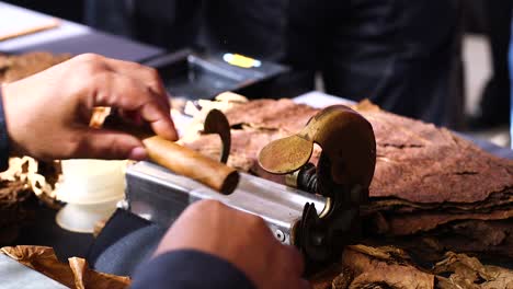 tabaquero cortando la punta de un cigarro en una fábrica en el caribe