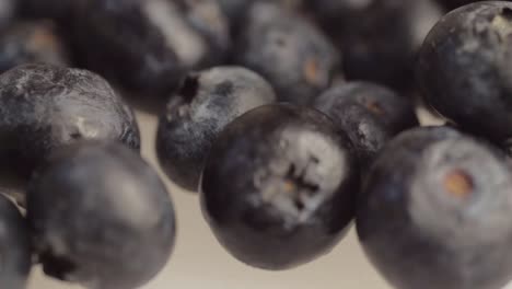 group of fresh blueberries isolated macro detailed