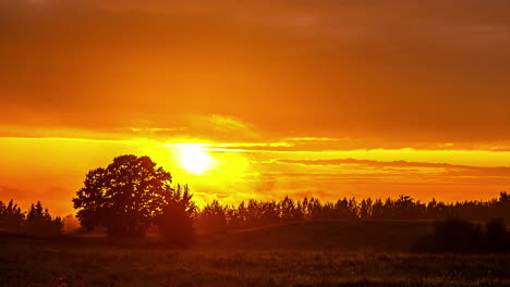 beautiful time-lapse of a sunset silhouetting the skyline