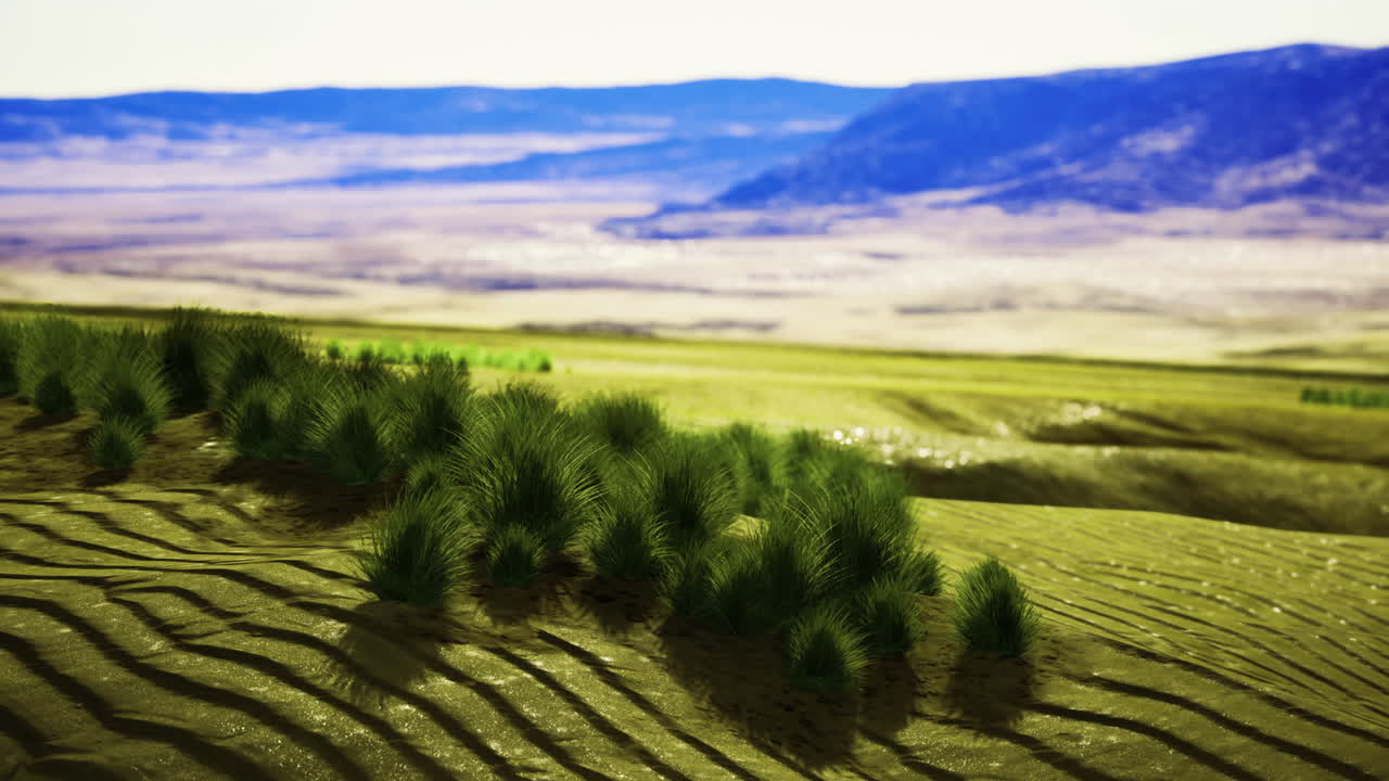 Rolling hills and lush grasslands under a vast blue sky at midday