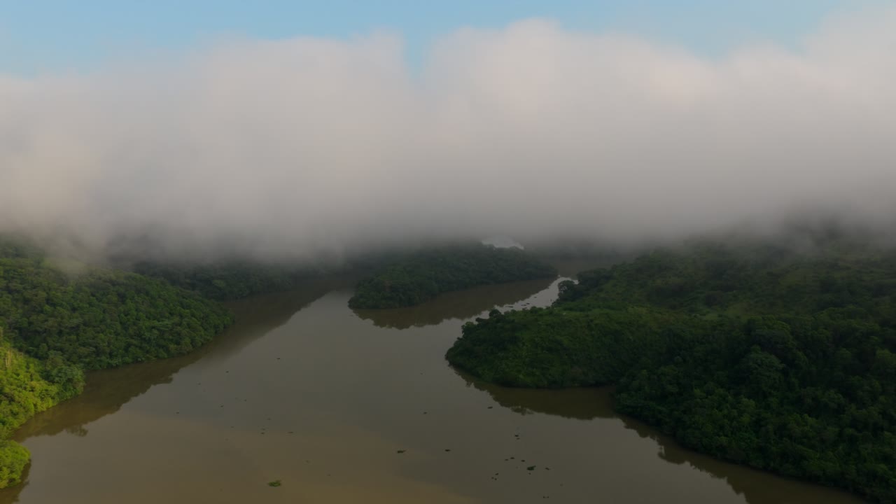 Murky dam lake surrounded by dense green forest and low fog at El Carrizo, Mexico