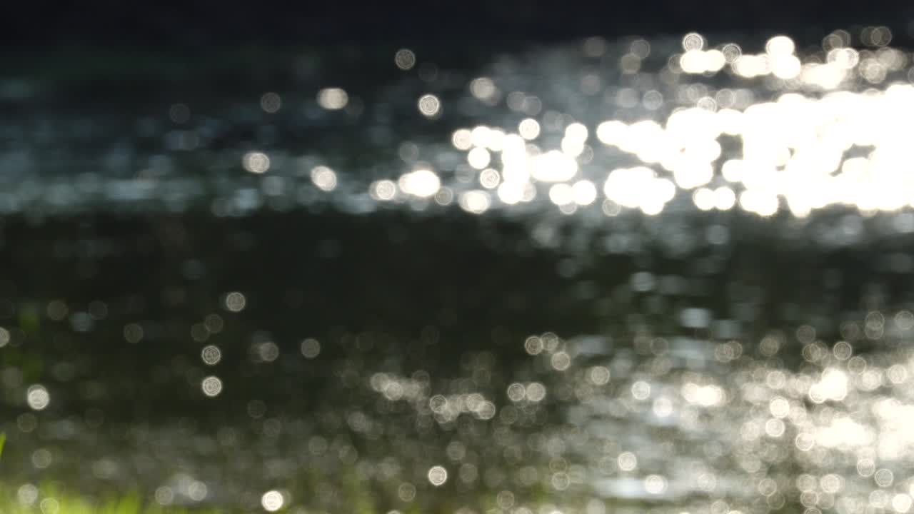 fondo bokeh naturaleza verde abstracto en verano belleza agua luz brillante borrón