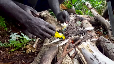 starting and lighting an outdoor open fire in the rainforest on multi-day hike using plastic bag and kindling on remote tropical island. survival skills
