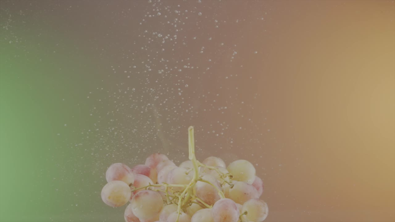 물에 어지는 포도