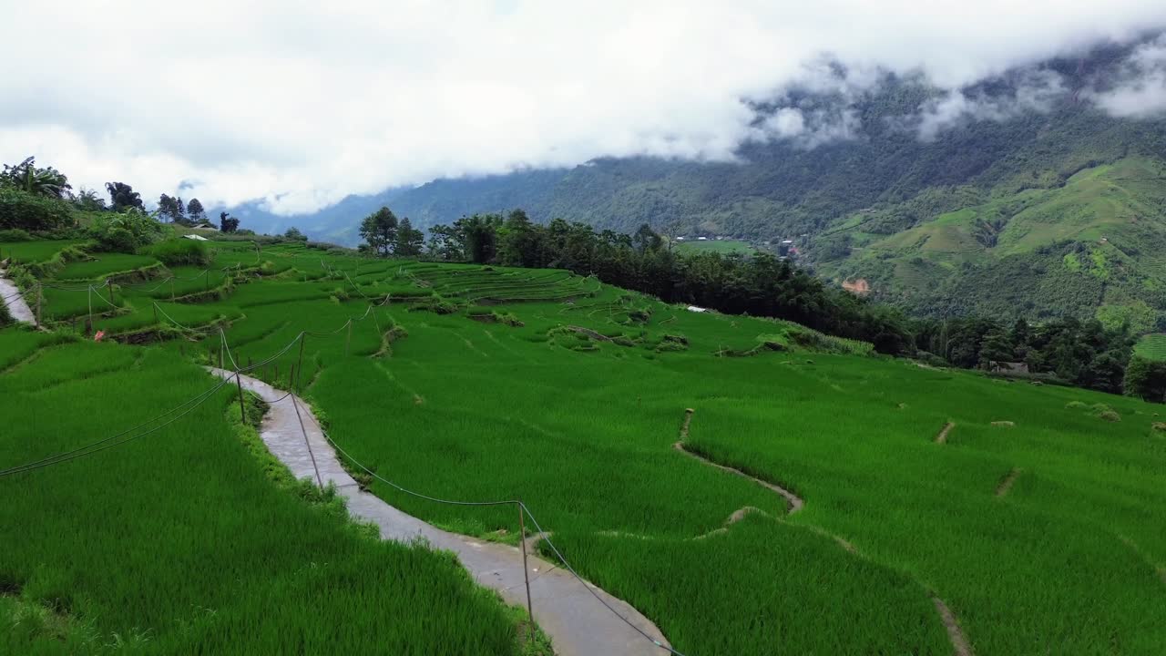 Drone footage capturing aerial view of rice terraces in Sapa, Vietnam, with green layers of farmland on mountain slopes under cloudy sky