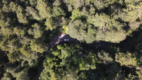 Vista-Aérea-De-La-Carretera-Forestal-épica