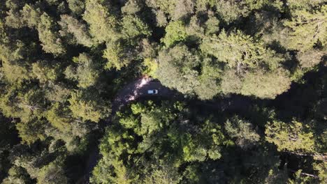 vista aérea del camino forestal épico