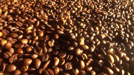 Close-up-of-seeds-of-coffee