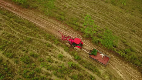 Toma-Aérea-Orbital-De-Un-Tractor-Con-Un-Remolque-A-Un-Lado-De-Una-Tierra-Cultivada,-Plantación-De-Palma-Coyol-En-Brasil