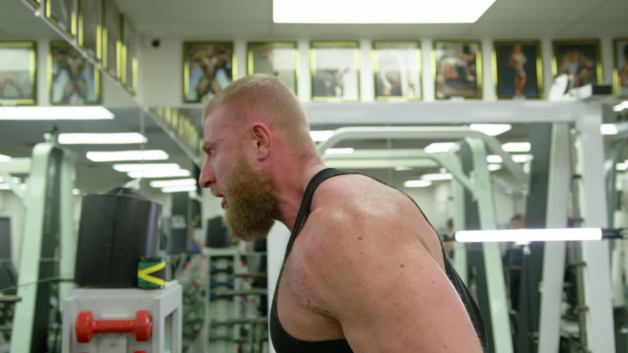 Gym Working Training. Fit Muscle Body Workout