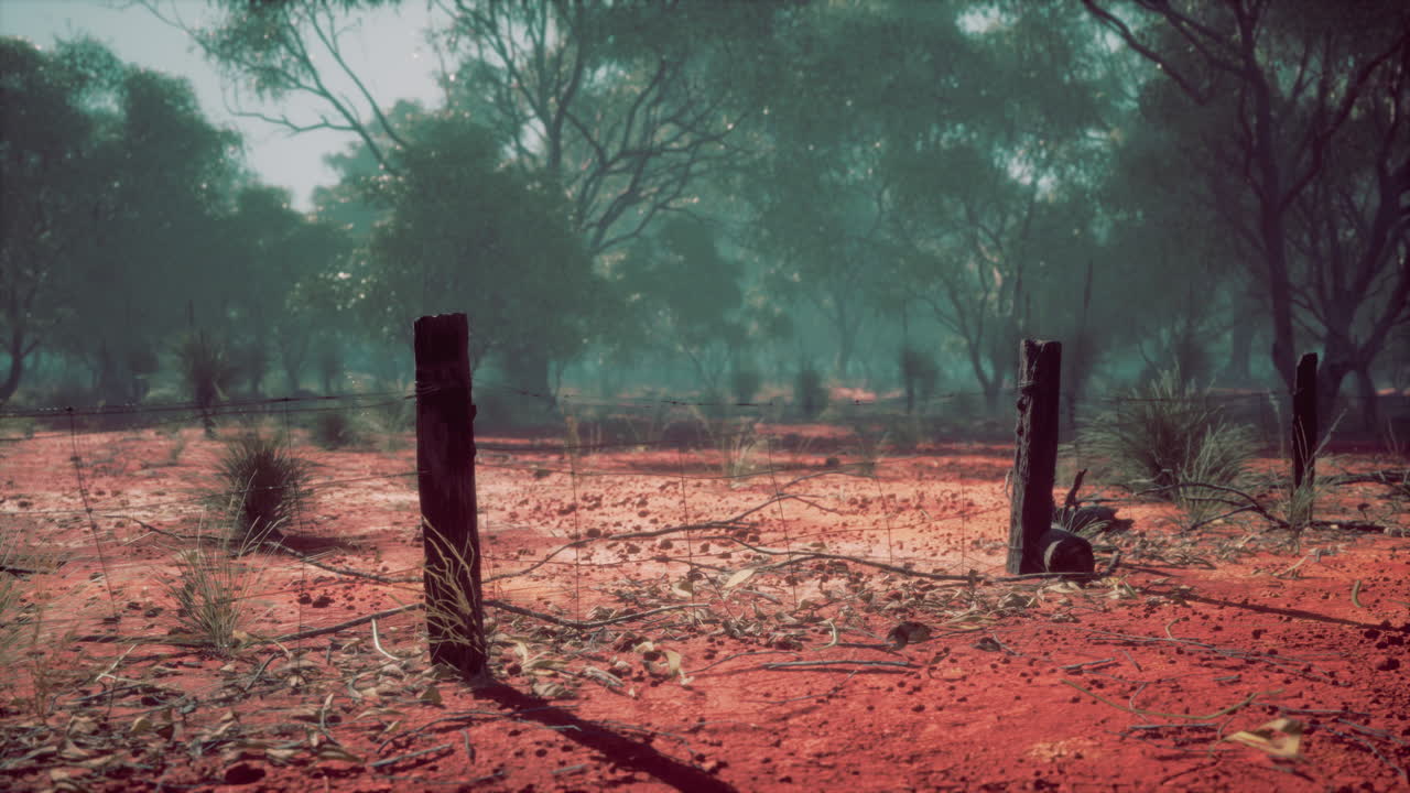 ⁇ 은 울타리 의 조각 과  ⁇ 은 가시 와이어