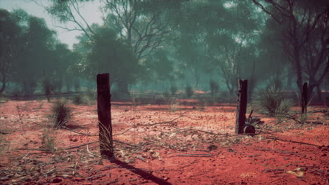 Fragmento-De-Una-Antigua-Valla-Con-Alambre-De-Púas-Oxidado