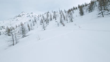 aerial drone fpv over snowy mountain forest, italian alps