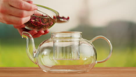 preparing herbal rose tea in a glass teapot