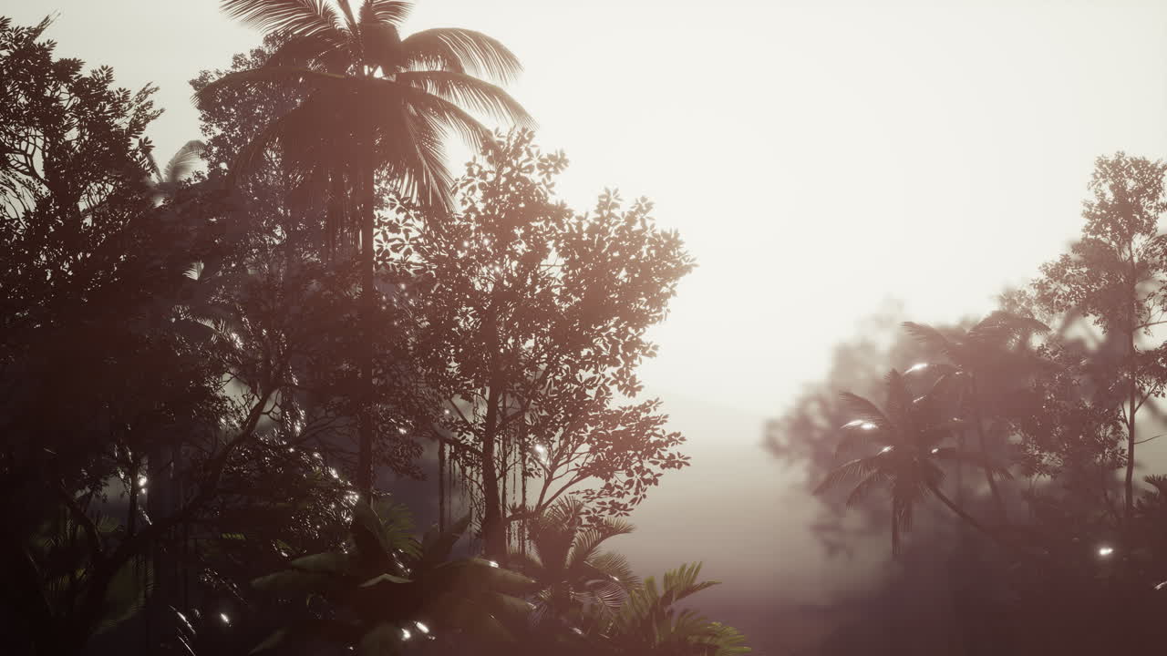 el bosque tropical de palmeras en la niebla