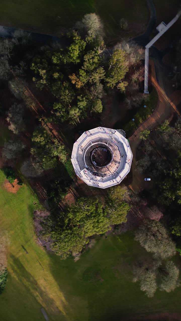 Beyond the Trees Avondale Co.Wicklow - Ireland - 4K Vertical Cinematic Drone Footage - 02