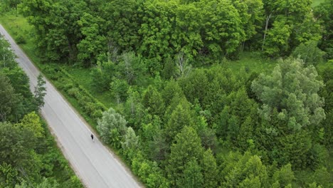 man running along the asphalt road between forest - aerial drone shot