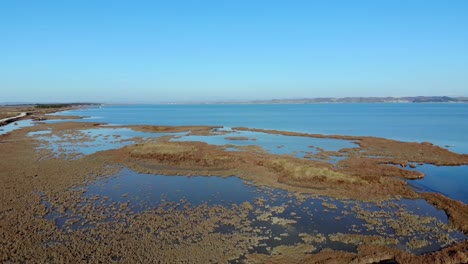 peaceful calm lagoon with clear water bordered bu brown banks with dried grass and reeds, panoramic view