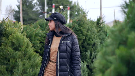 a beautiful woman shopping on a christmas tree lot with green douglas fir conifers in a holiday botanical nursery