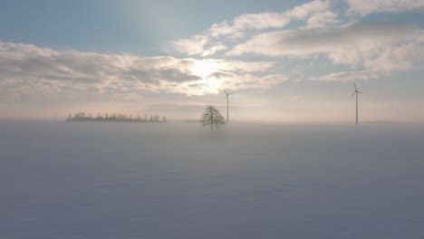 Aerial-view-of-wind-turbines-generating-renewable-energy-in-the-wind-farm,-snow-filled-countryside-landscape-with-fog-and-lone-oak-tree,-sunny-winter-day,-wide-establishing-drone-shot-moving-forward