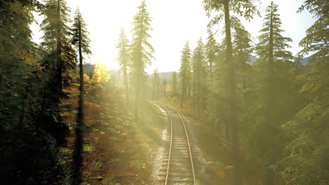 scenic train tracks through a foggy forest