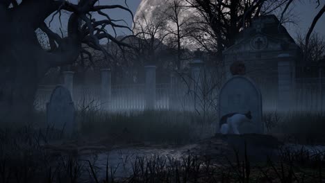 halloween haunted graveyard inside dark woods forest at night time, with grave stones, cat on grave, skull, bones, mist, full moon and creepy trees 3d animation camera zoom in