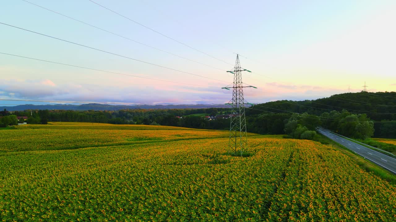Imagens deslumbrantes em 4K de drone de torres de alta tensão em meio a um campo de girassóis ao pôr do sol.