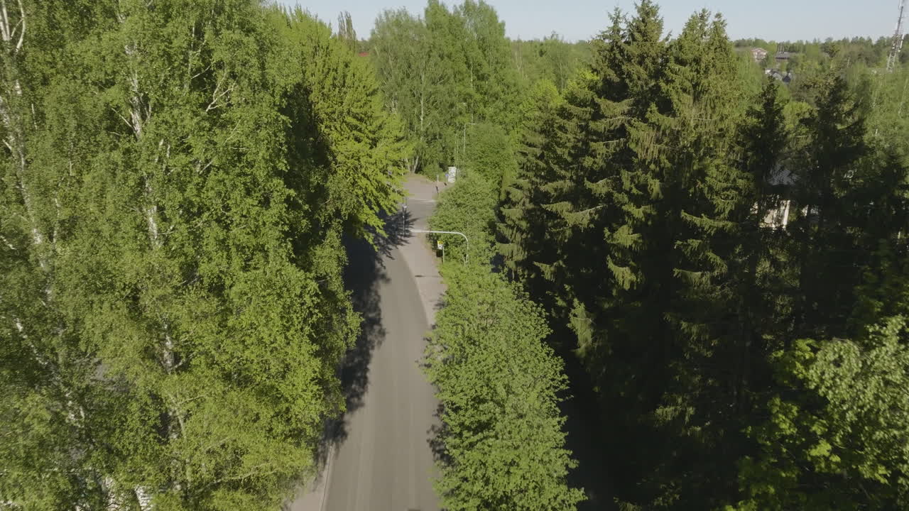 vista aérea de un camino a través de un bosque verde exuberante