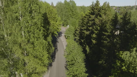 vista aérea de un camino a través de un bosque verde exuberante