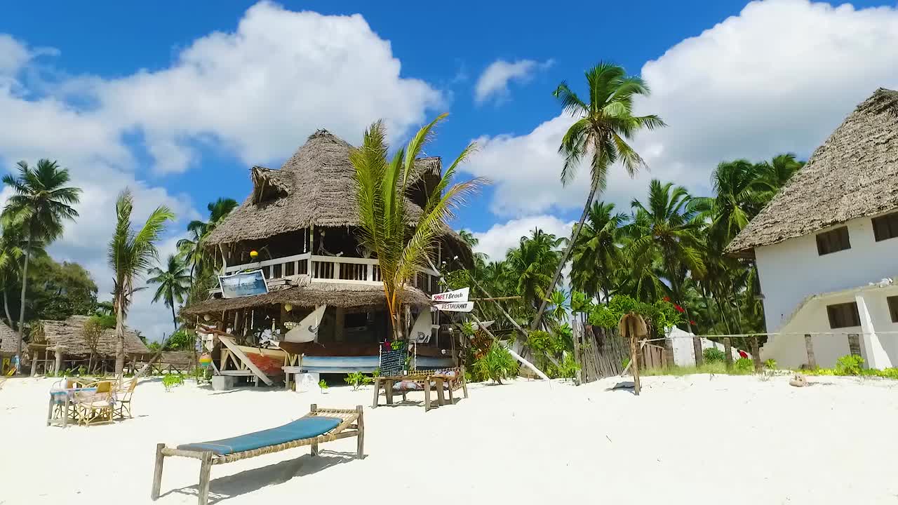Zanzibar adasında hindistan cevizi ağaçları ve hasır evi olan çok güzel tropikal beyaz kumlu plaj.