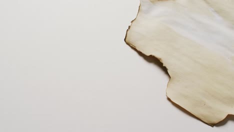 video of close up of piece of paper with burned edges on white background