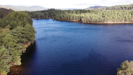 Vista-Aérea-Del-Lago-An-Eilein-Rodeado-De-Pinos-Del-Bosque-De-Rothiemurchus