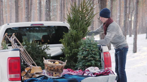 a young man is shipping a new year tree in the back of a pickup truck preparing for christmas