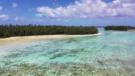 cook island - rarotonga flying over a stand up paddler