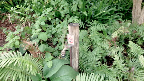 Sign-on-tap-saying-Do-Not-Drink-Water-Not-Potable