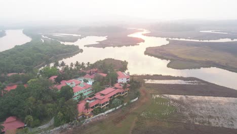 goa divar island drone pasando de cocoteros vacaciones mercure goa devaaya cinematic