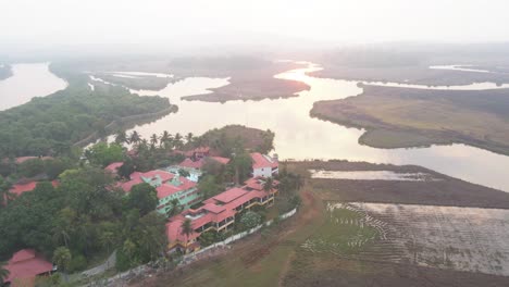 goa divar island drone passing from coconut trees vacation mercure goa devaaya cinematic