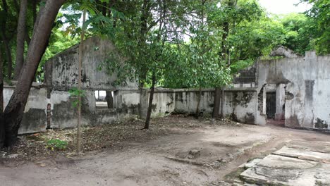 edificio en ruinas en un bosque tropical