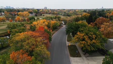 Aerial-view-of-a-street-through-a-neighborhood-with-beautiful-green-trees