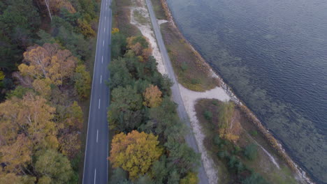 drone view of road along coast and autumn forest