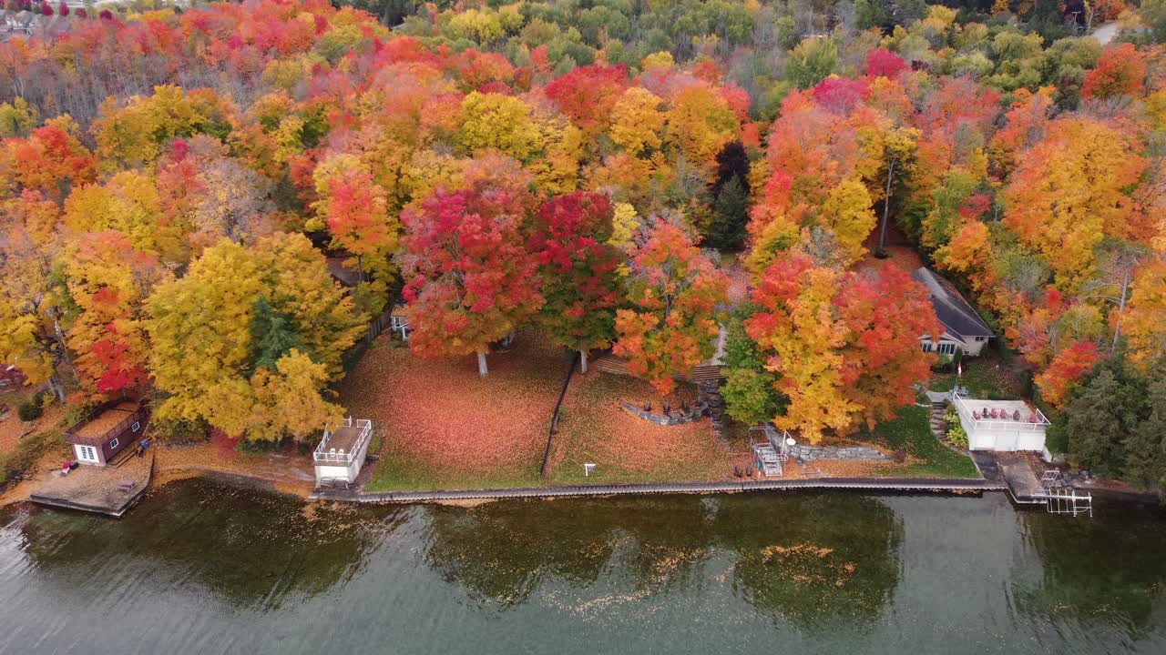 캐나다 온타리오주 아름다운 호수와 새들이 날아다니는 알곤퀸 주립공원 안의 단풍을 드러내는 공중 드론 샷