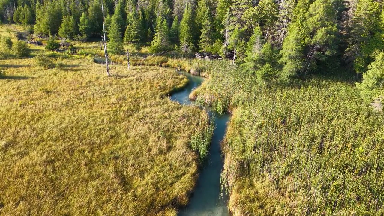 Luftfoto af et fredfyldt vildmarksområde med en snoet flod, der skærer sig gennem en tæt skov.