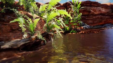 tropical-golden-pond-with-rocks-and-green-plants