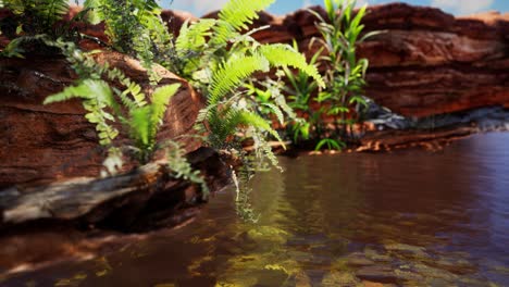 estanque dorado tropical con rocas y plantas verdes