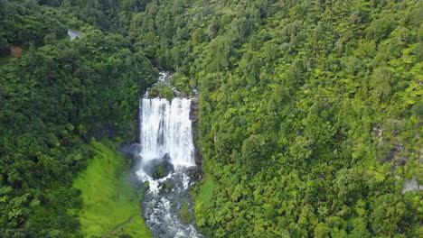 aerial shot of white and blue waterfall in dense green forest