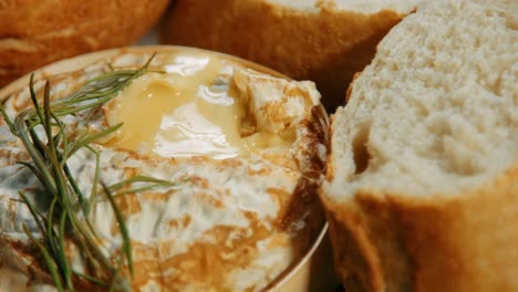 hand dipping baguette bread in freshly baked french camembert cheese with rosemary